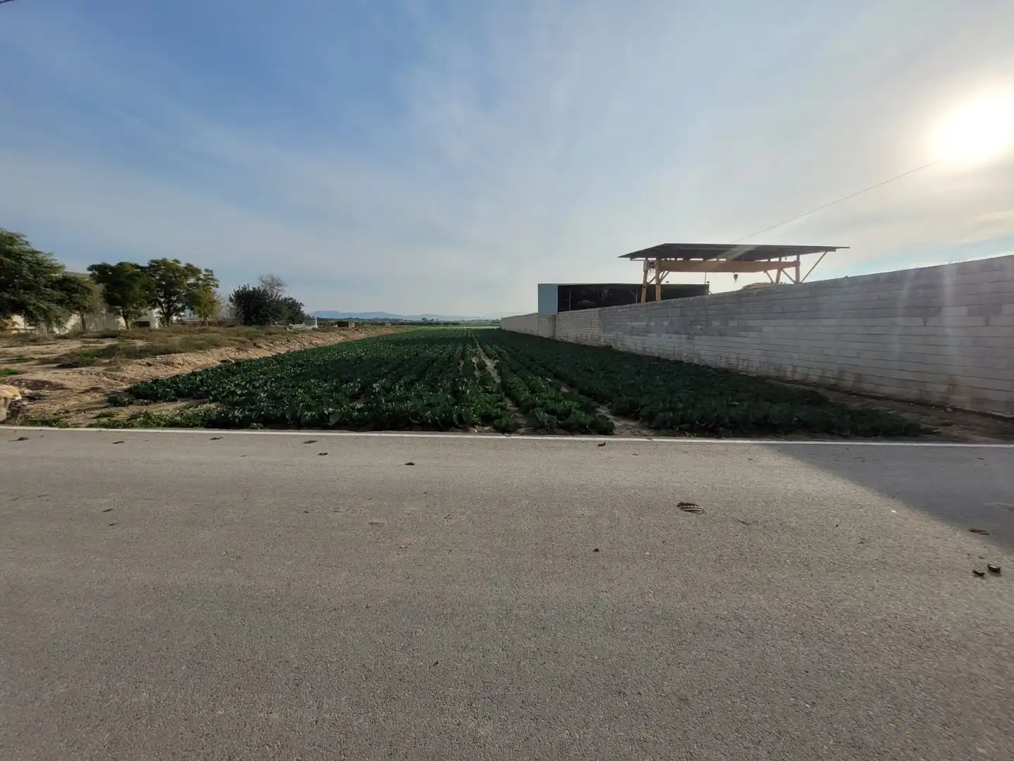 Terreno rustico in vendita a Montepinar - La Aparecida - Raiguero, imagen 2
