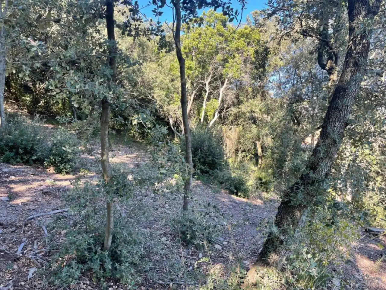 Terrain résidentiel à vendre à Matadepera, imagen 5