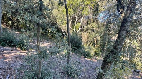 Terreno en venta en LES PEDRITXES, immagine 5