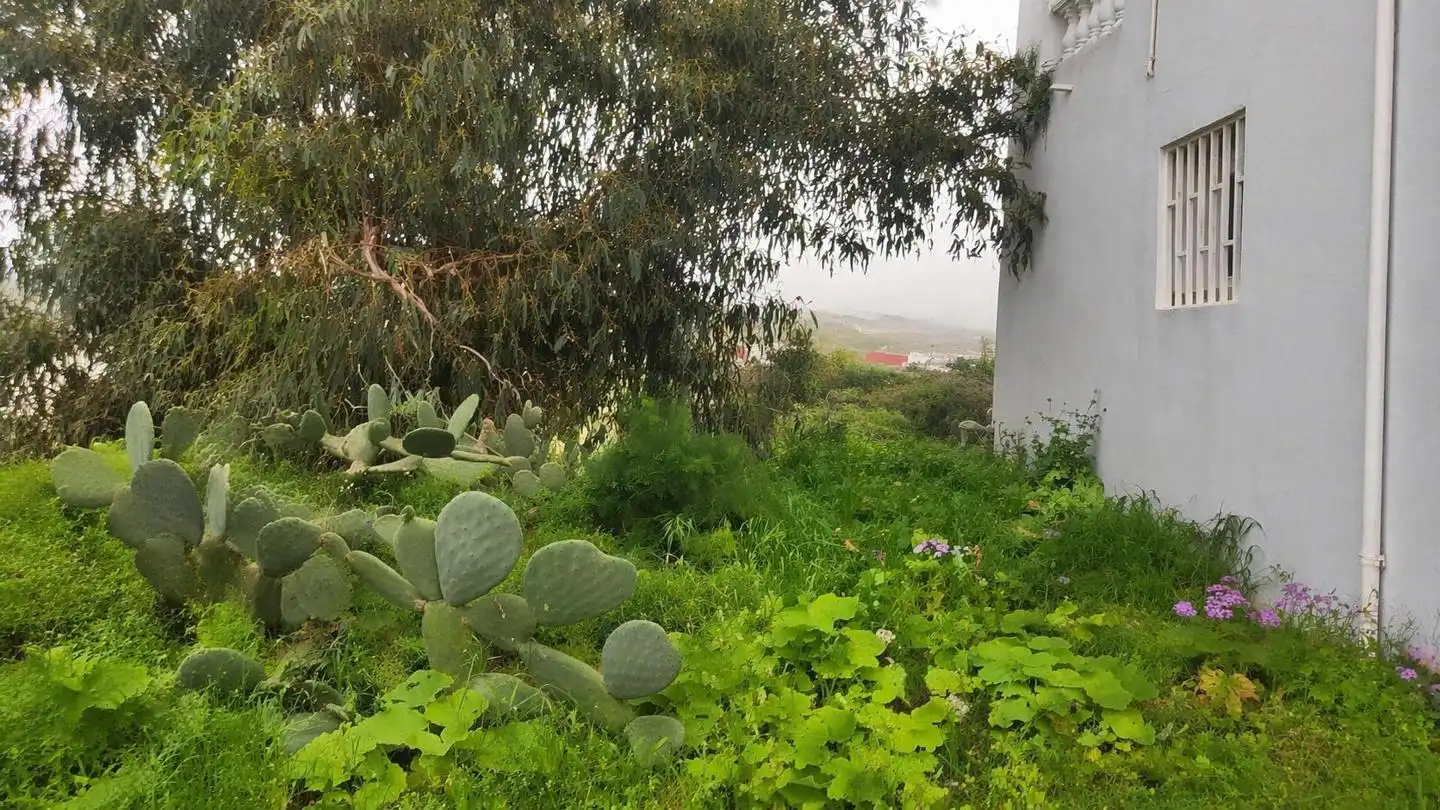 Terrenys i solars en venda a La Solera, imagen 11