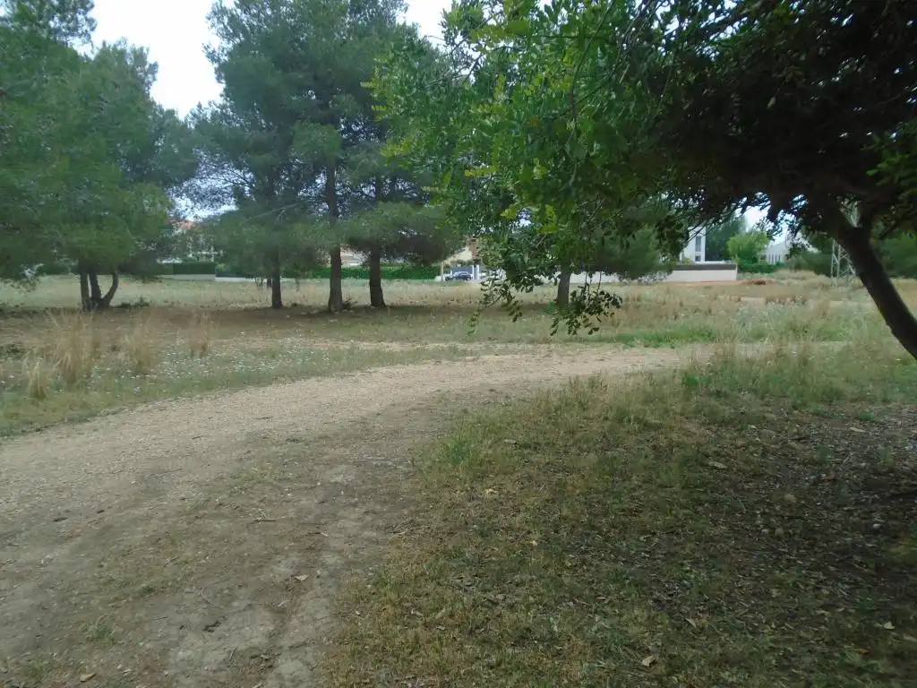 Rustikales Grundstück zum Verkauf in Paraje del Moro, imagen 18