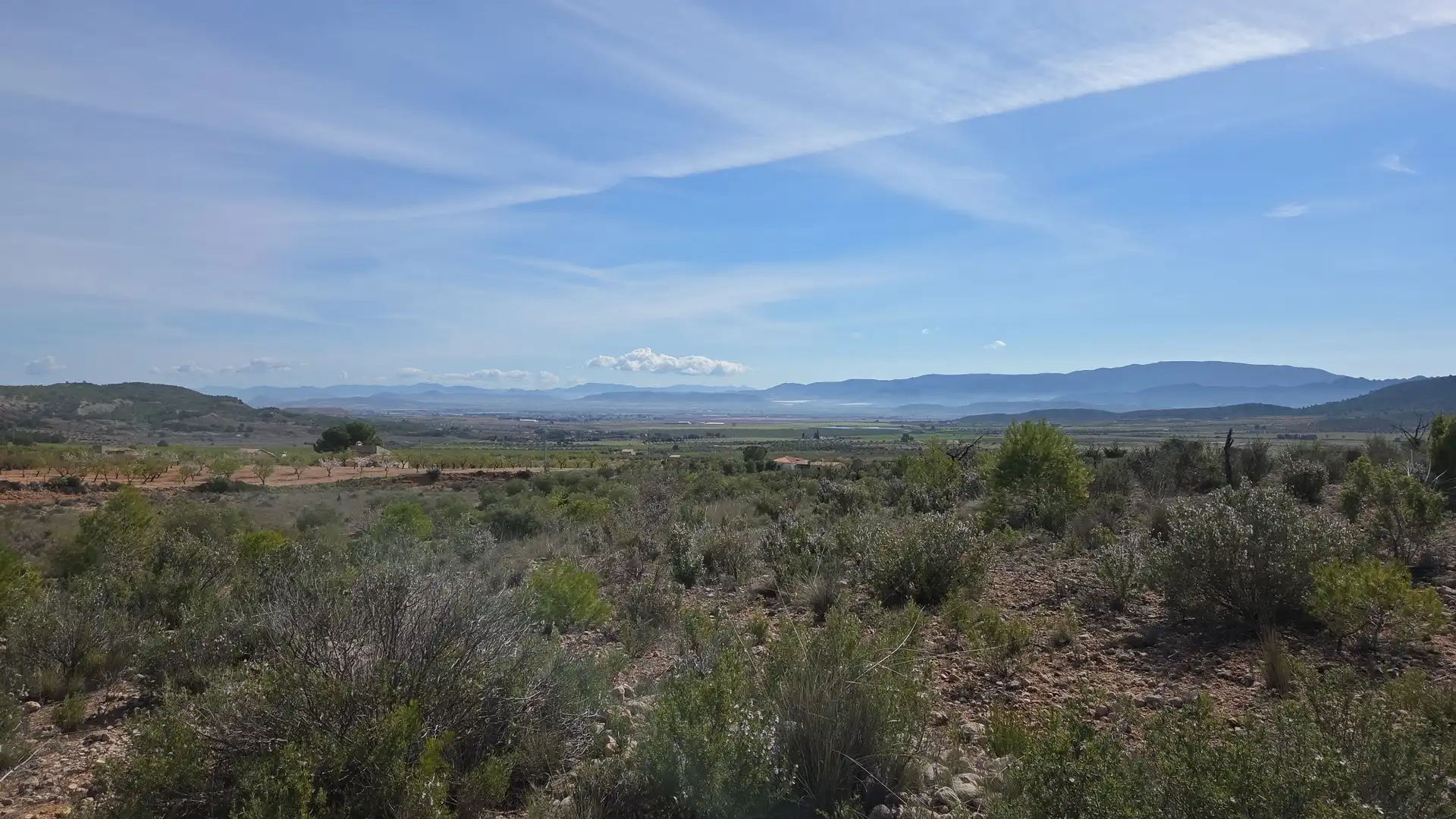 Residential land for sale in Yecla, imagen 4