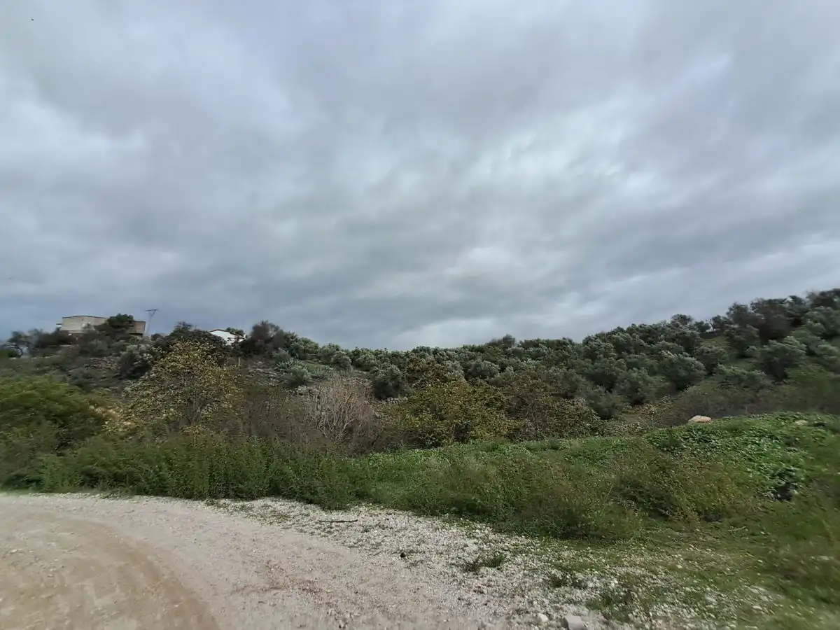 Finca rústica en venda en Becerril de la Sierra
