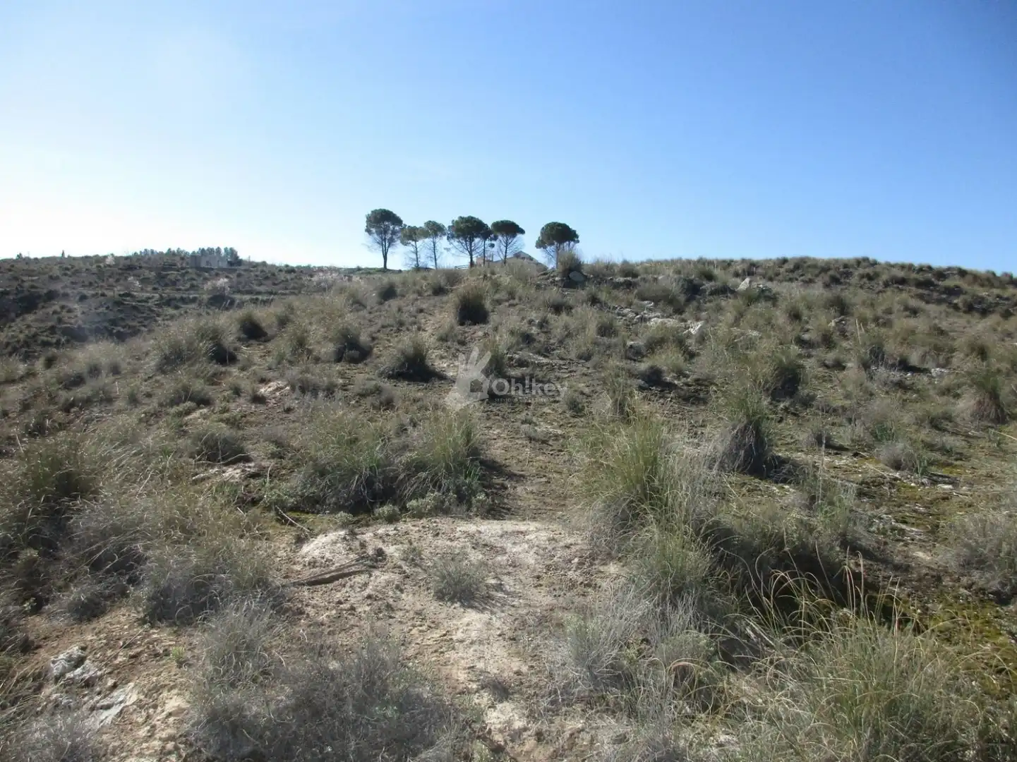 Rural land for sale in Chinchón, imagen 4
