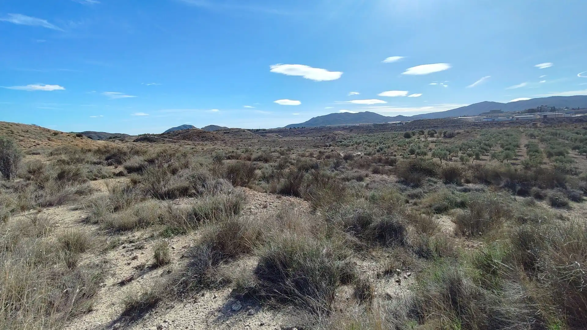 Terreno rustico in vendita a Campo Alto - Club de Campo, imagen 14