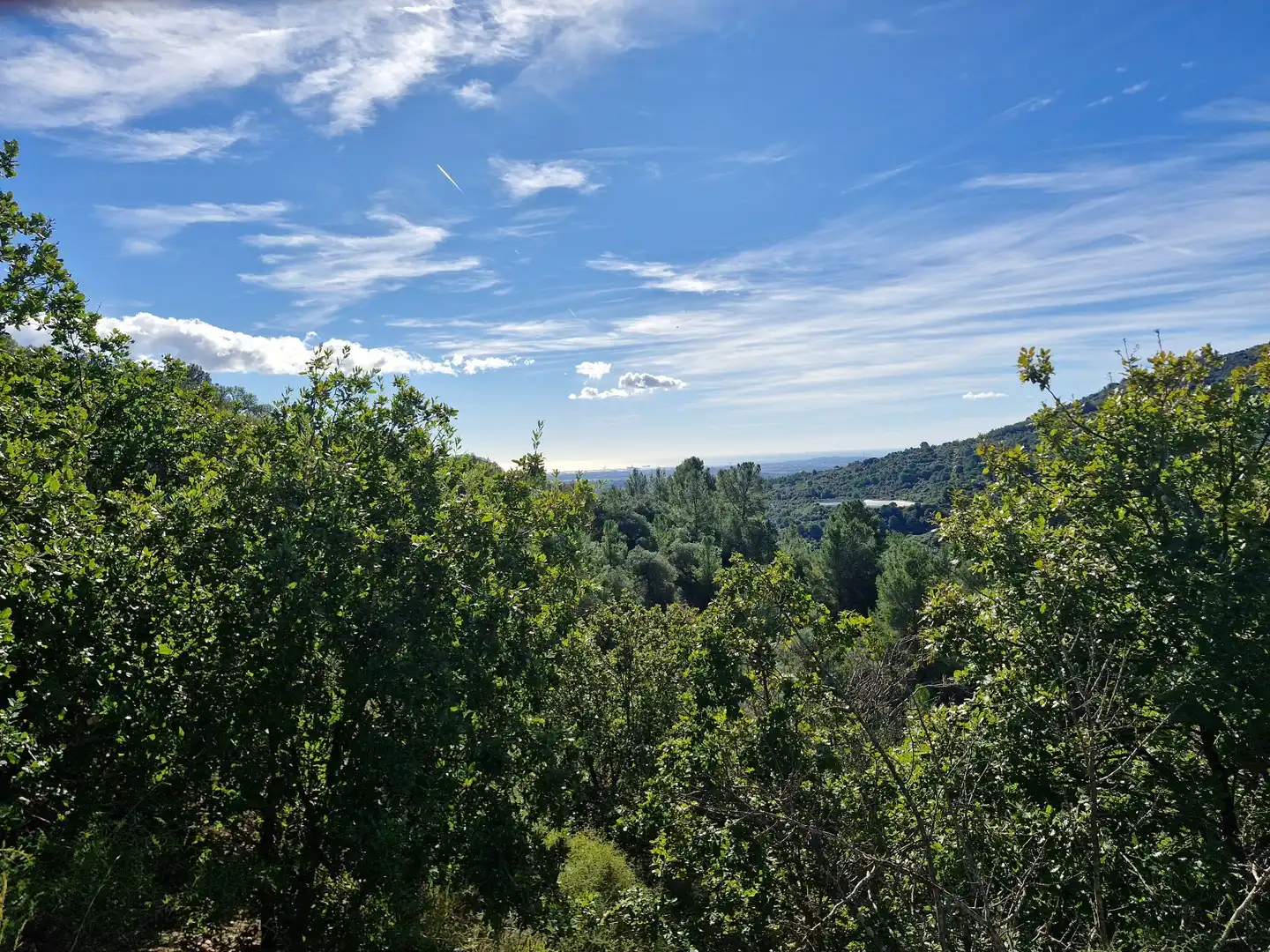 Vista exterior de Terreno en venta en La Selva del Camp