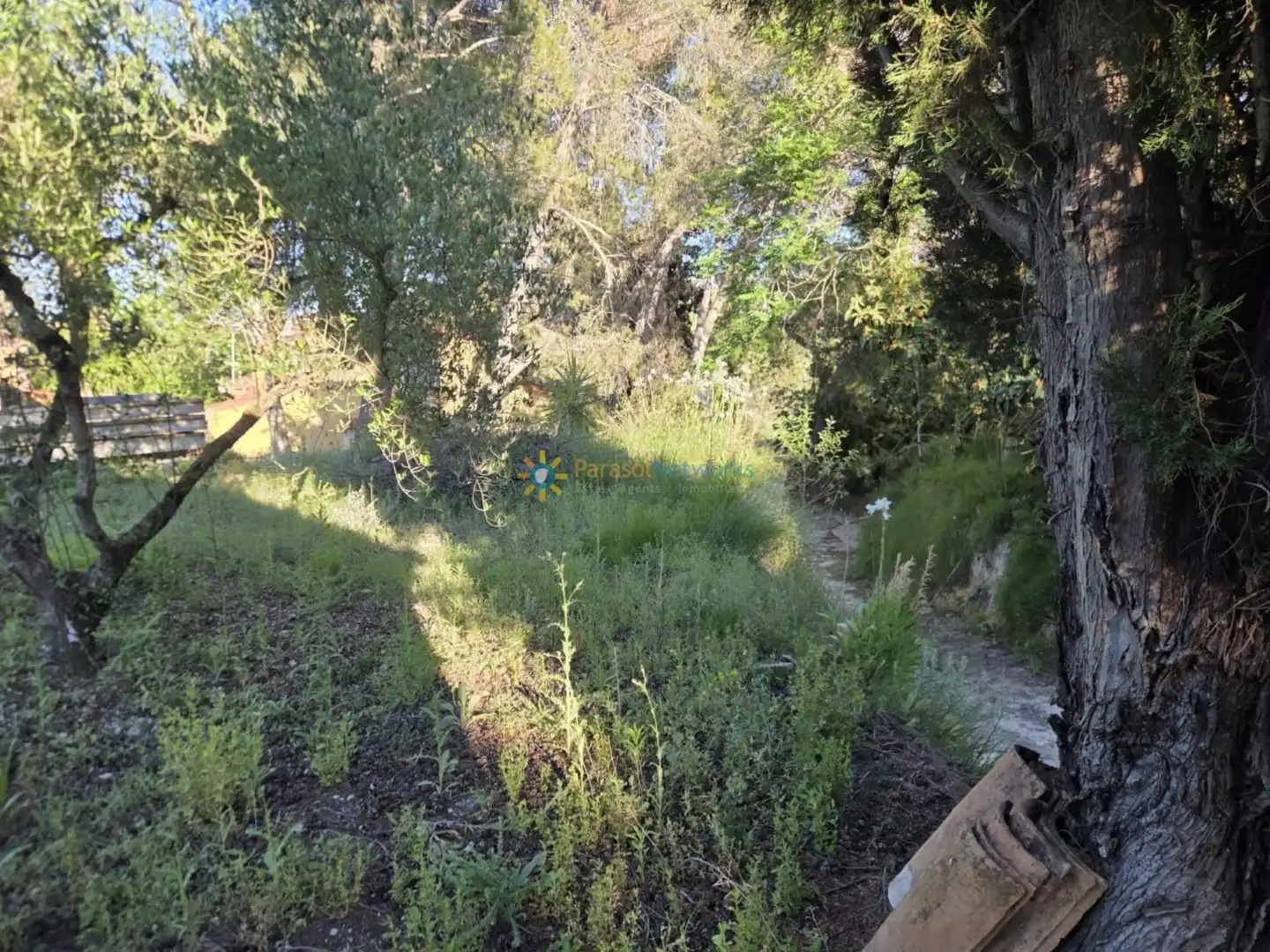 Terreno rustico in vendita a Bélgida, imagen 11