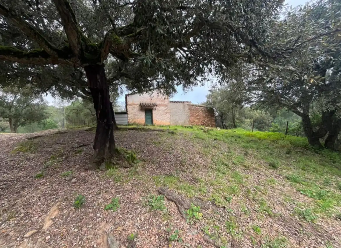 Terreno rustico in vendita a Camino de Valdelarco, imagen 3