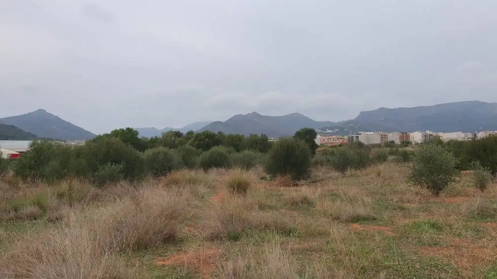 Terreny residencial en venda a Partida Fosaret, imagen 25