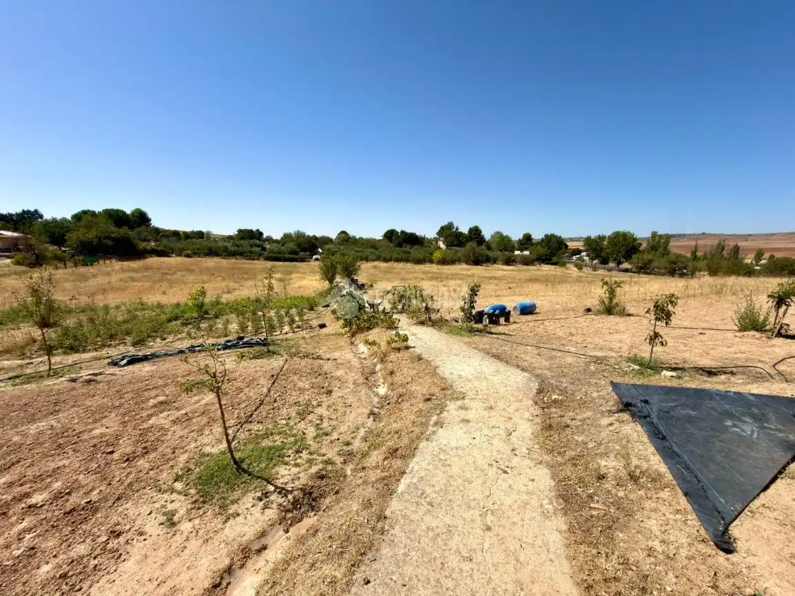Terreny rústic en venda a Valdeavero, imagen 46