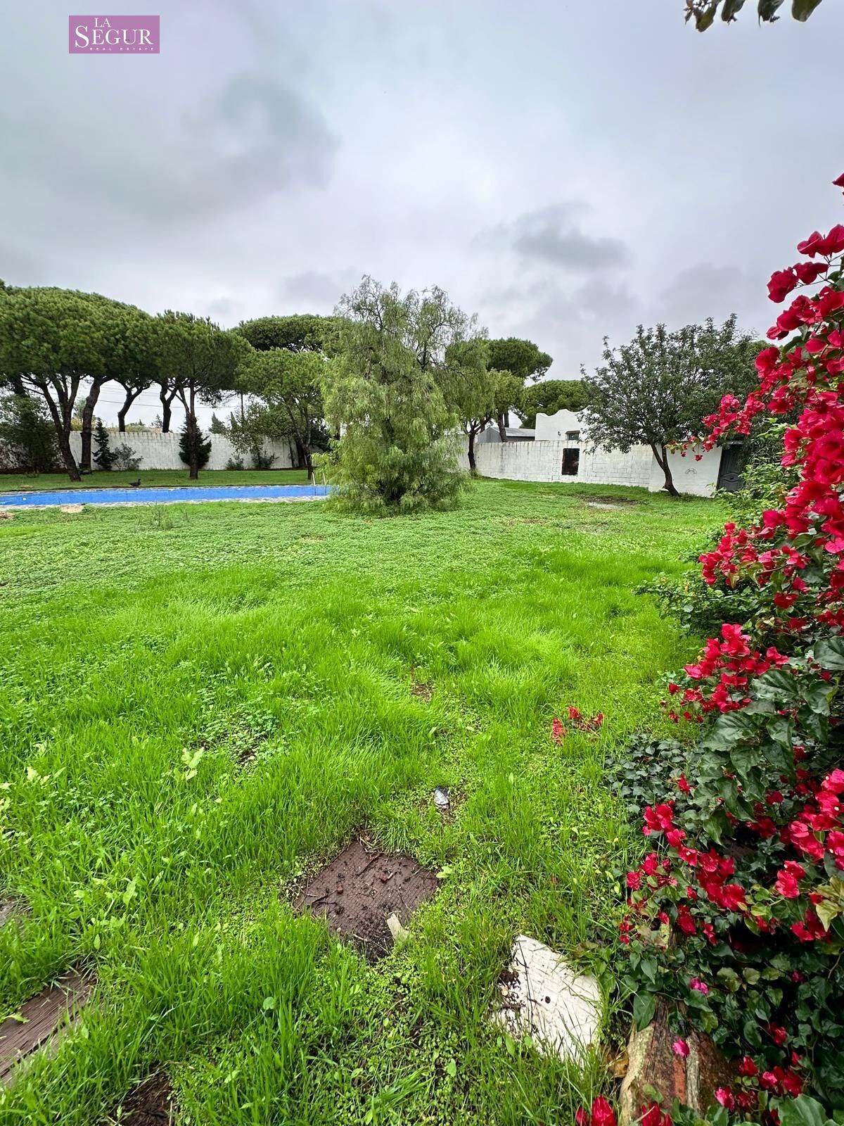 Jardí de Casa o xalet en venda en Conil de la Frontera amb Aire condicionat, Jardí privat i Terrassa