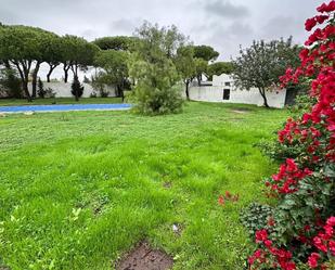 Jardí de Casa o xalet en venda en Conil de la Frontera amb Aire condicionat, Jardí privat i Terrassa