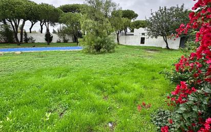 Garden of House or chalet for sale in Conil de la Frontera  with Air Conditioner, Private garden and Terrace