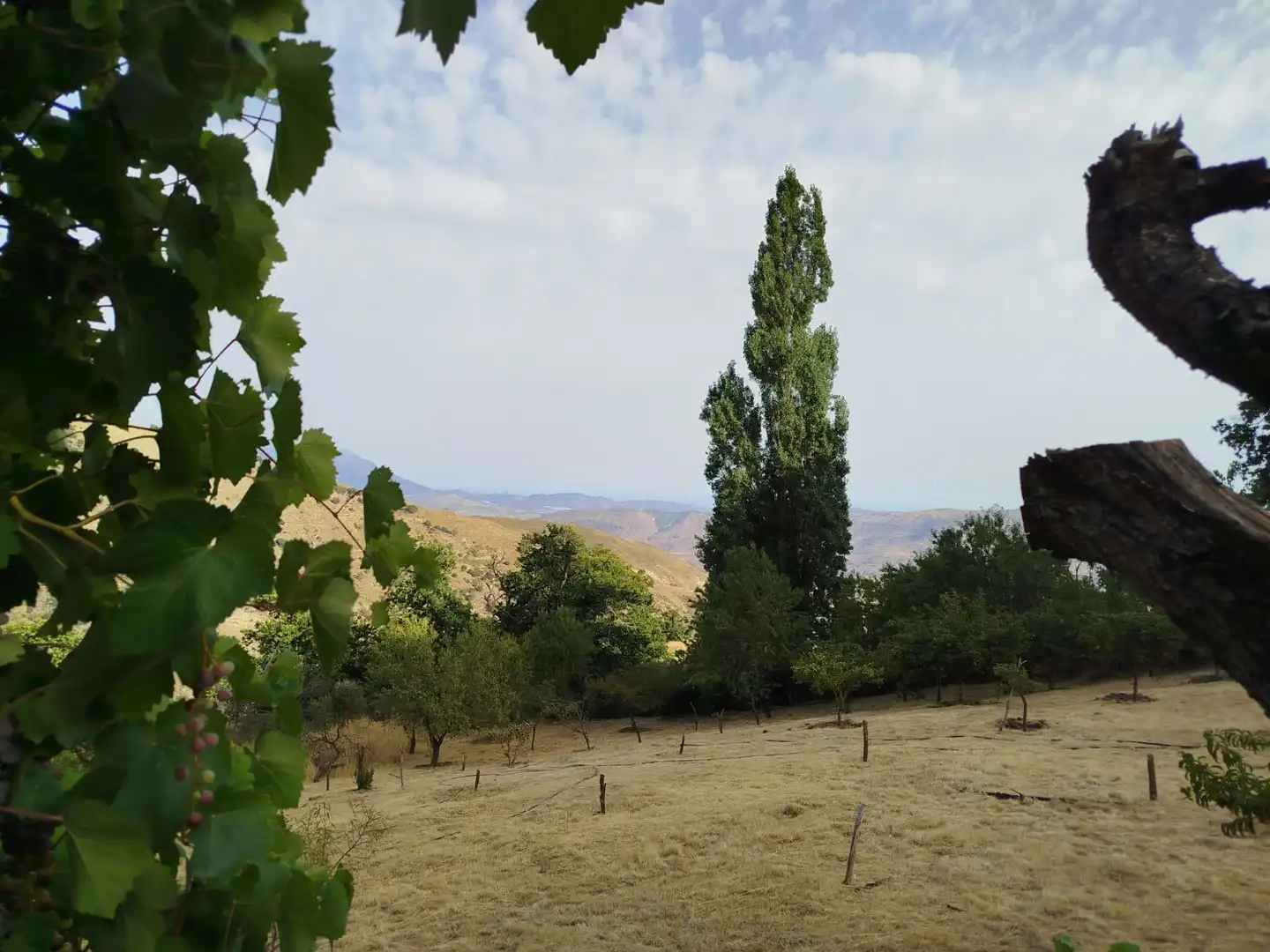 Rural land for sale in Alpujarra de la Sierra, imagen 29