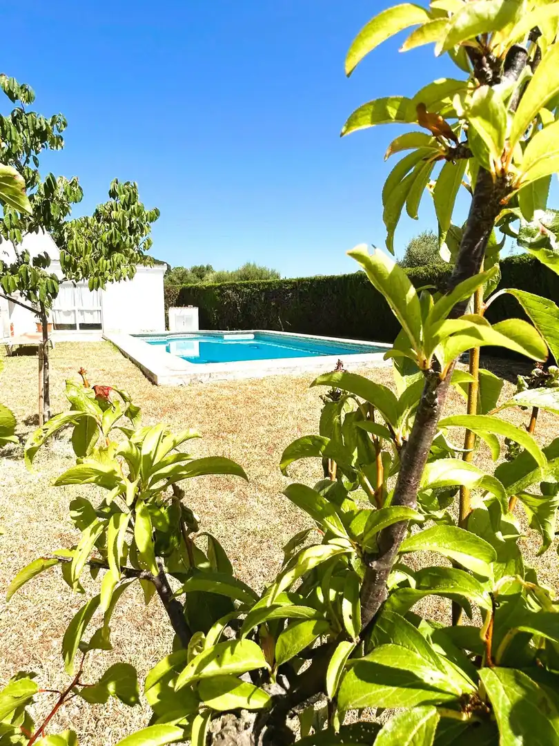 Jardí de Finca rústica en venda en Estepona amb Jardí privat, Terrassa i Piscina