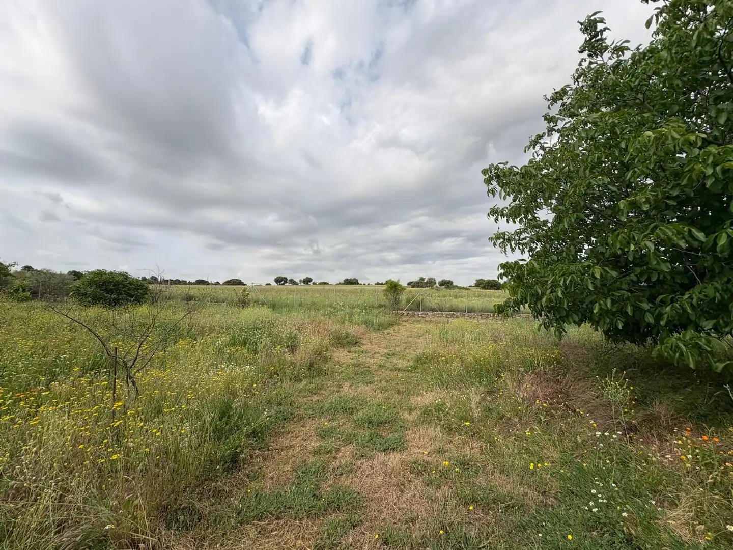 Casa o xalet en venda en Pioz amb Calefacció, Jardí privat i Traster