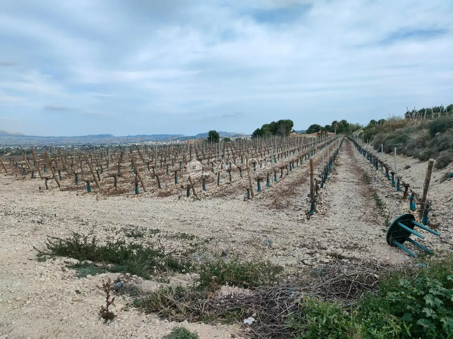 Terreno residenziale in vendita a Pedanías Oeste, imagen 12