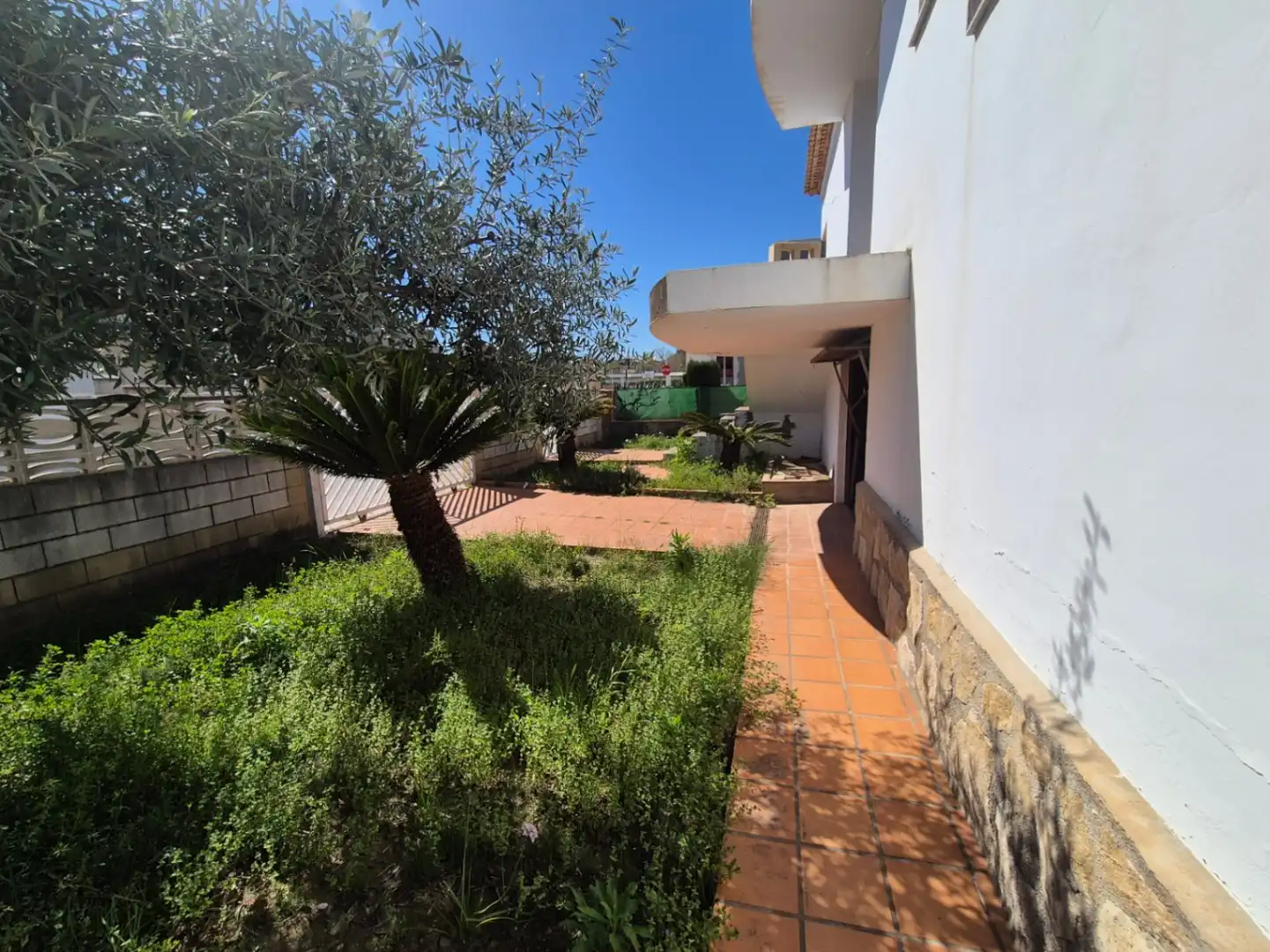 Jardí de Casa o xalet en venda en Oliva amb Jardí privat i Terrassa