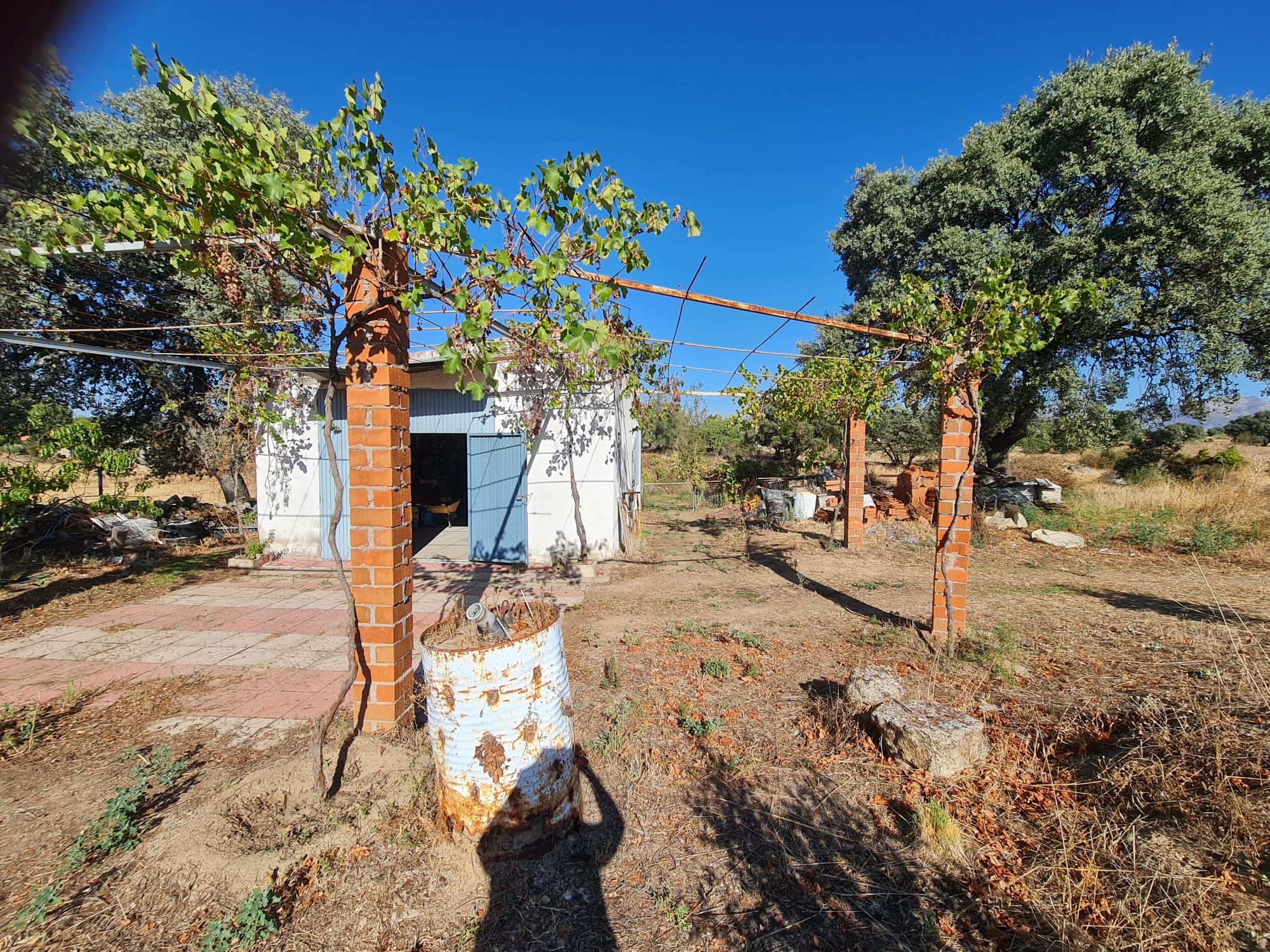 Land for sale in Montesclaros