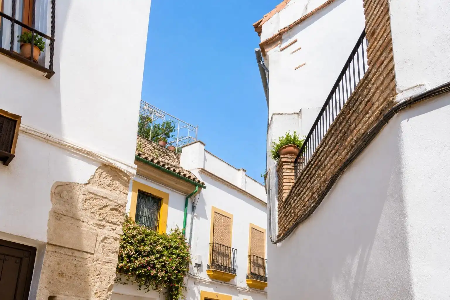 Casa amb terrassa en venda a JULIO ROMERO DE TORRES, imagen 20