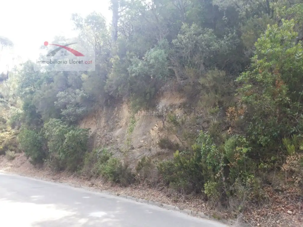 Terreno residencial en venta en Carrer de les Orenetes 43, imagen 3