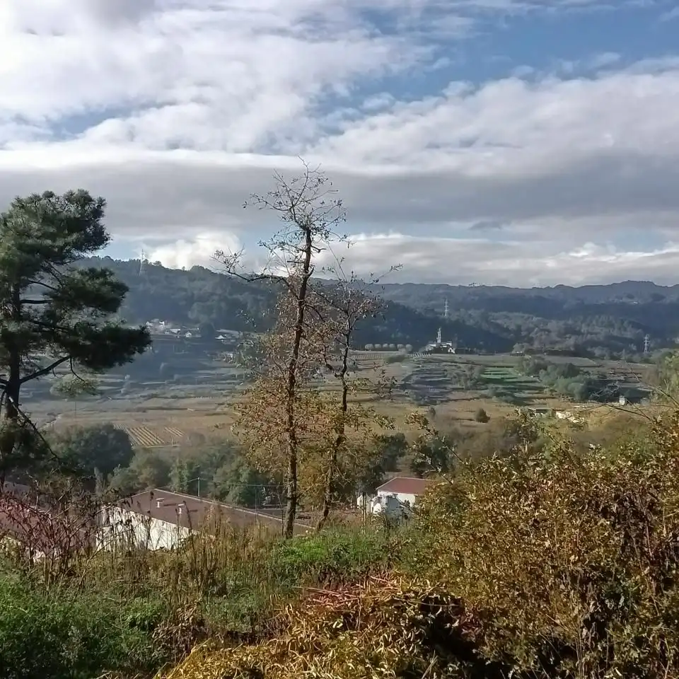 Maison à vendre à Cenlle, imagen 3