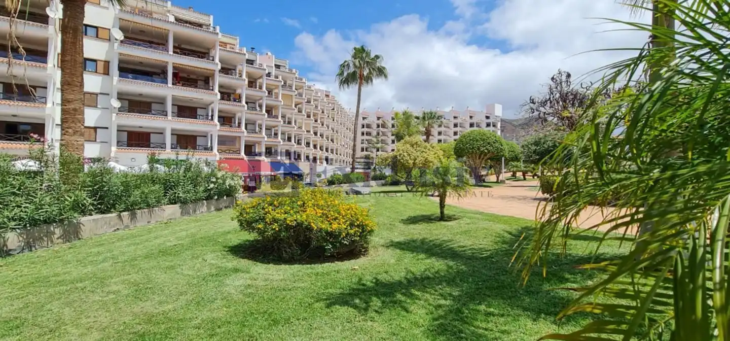 Ground floor for sale in Ámsterdam, Los Cristianos