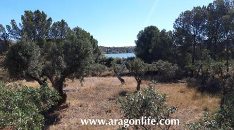 Photo 4 of Country house for sale in Calle Monjas, Caspe, Zaragoza