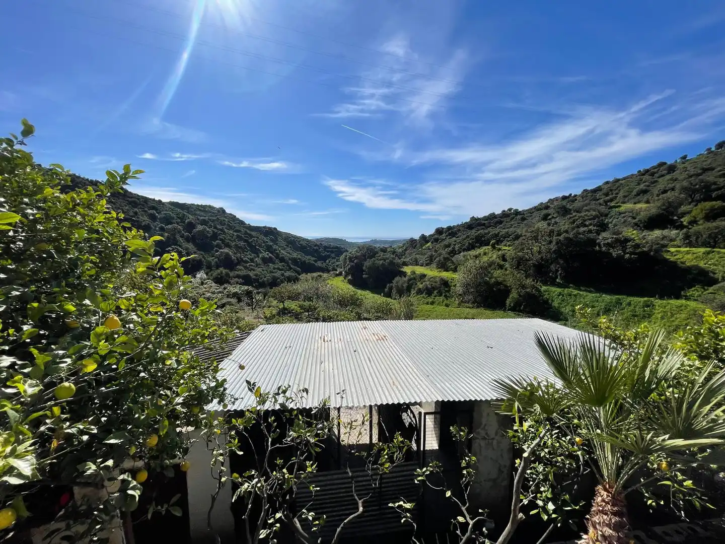 Finca rústica en venta en Altos de Estepona
