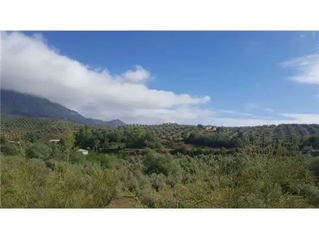 Terreni e lotti in vendita a Huelma, imagen 3