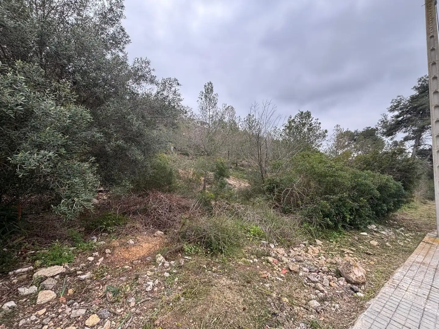 Terreny residencial en venda a Olivella, imagen 22