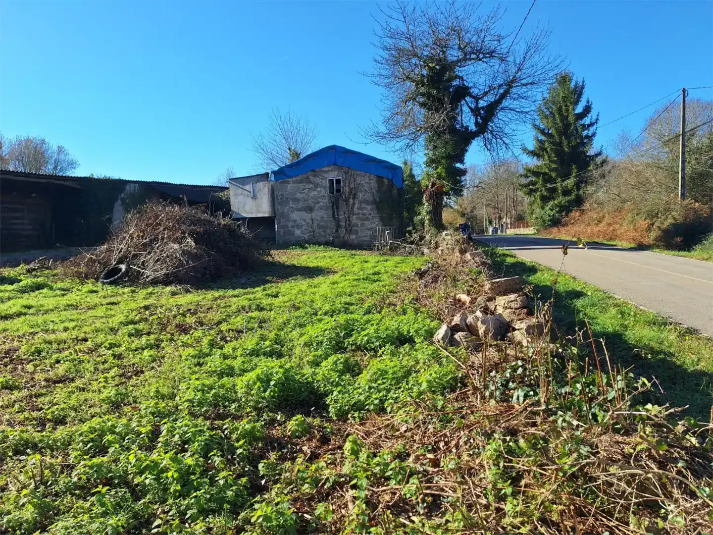 Finca rústica en venta en Lugo