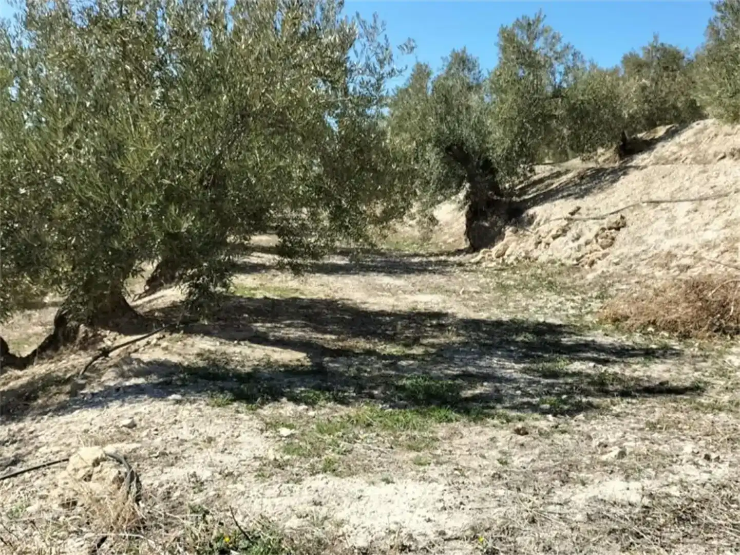 Terreno en venta en Huesa