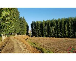 Exterior view of Land for sale in Purullena