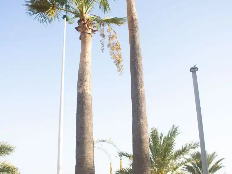 Vista exterior de Pis en venda en Elche / Elx amb Aire condicionat