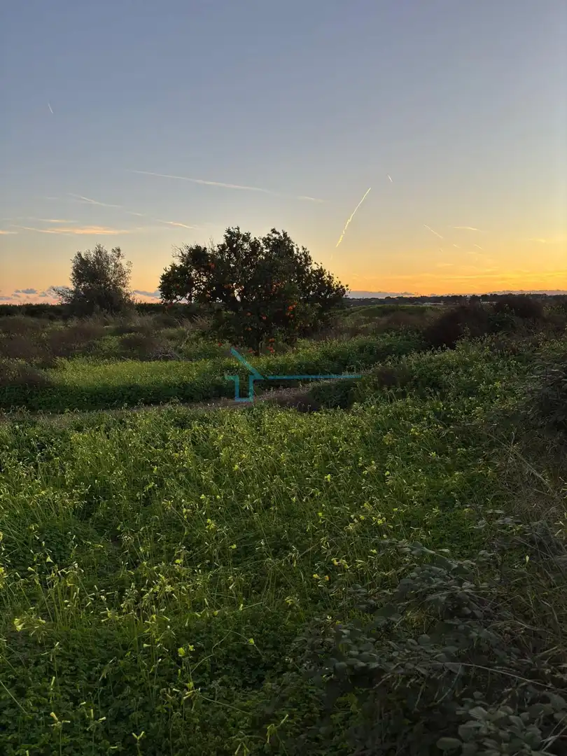 Terreni e lotti in vendita a Los Pinares - La Masia, imagen 9