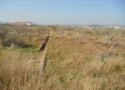 Terrain rustique à vendre à PARTIDA POLÍGONO 3 00514, imagen 3
