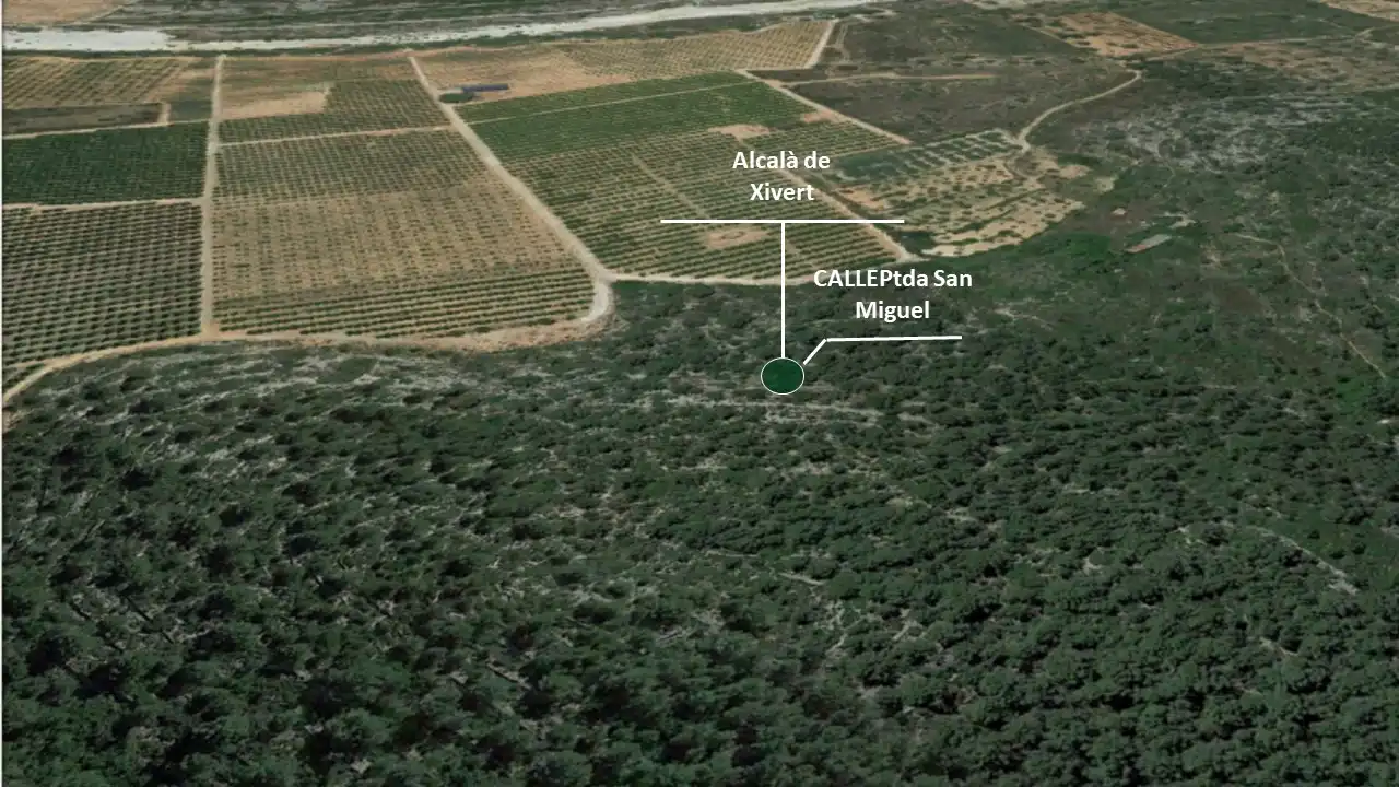 Rural land for sale in Ptda San Miguel, Timba y Palillo, imagen 4