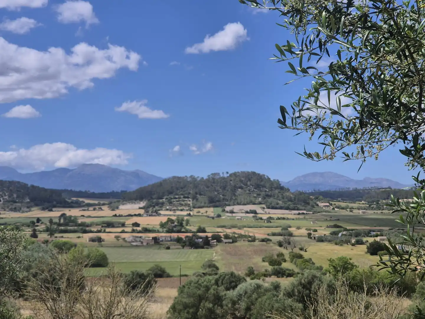 Casa rústica con jardín en venta en Sineu, imagen 13