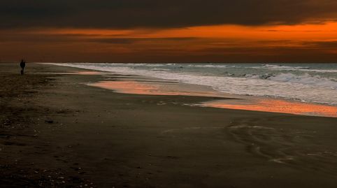 Photo 4 of Houses for sale in Montmar, Castelldefels