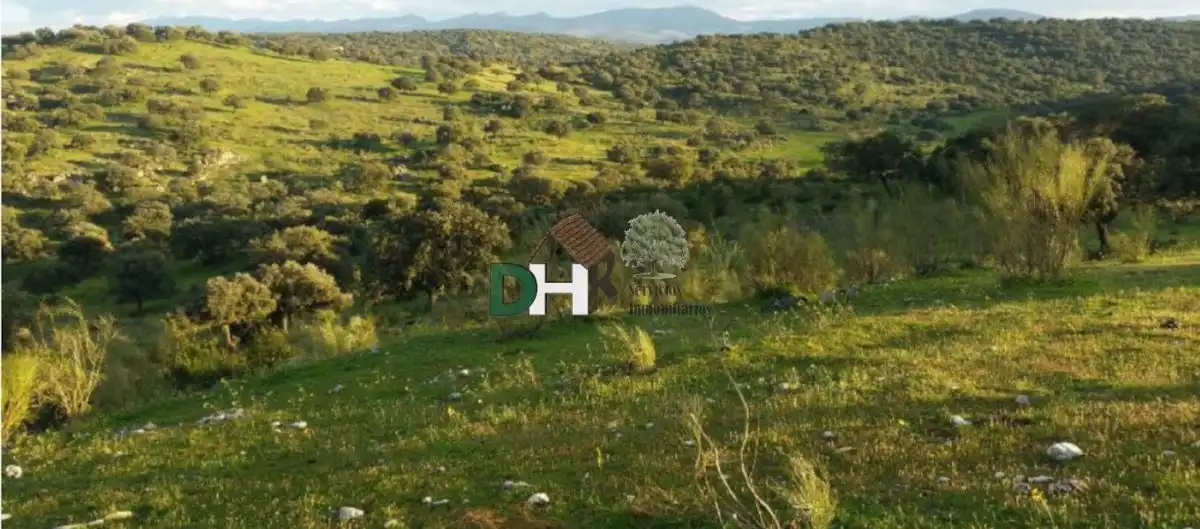 Terreni e lotti in vendita a Navalmoral de la Mata, imagen 7