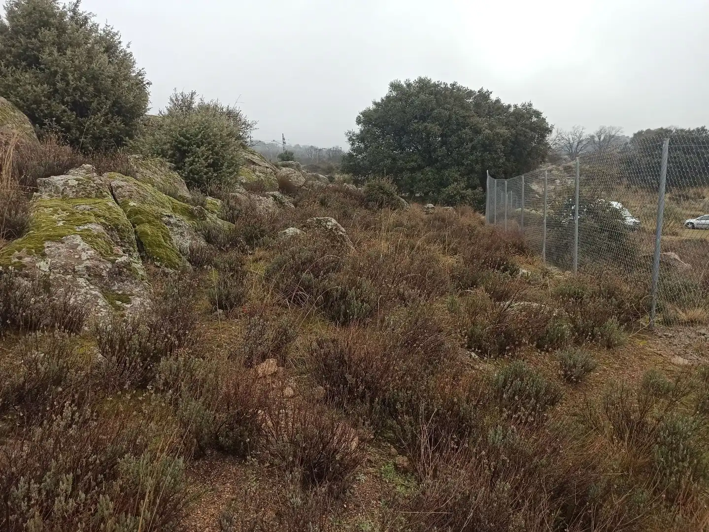 Terreno rustico in vendita a Zarzalejo, imagen 24