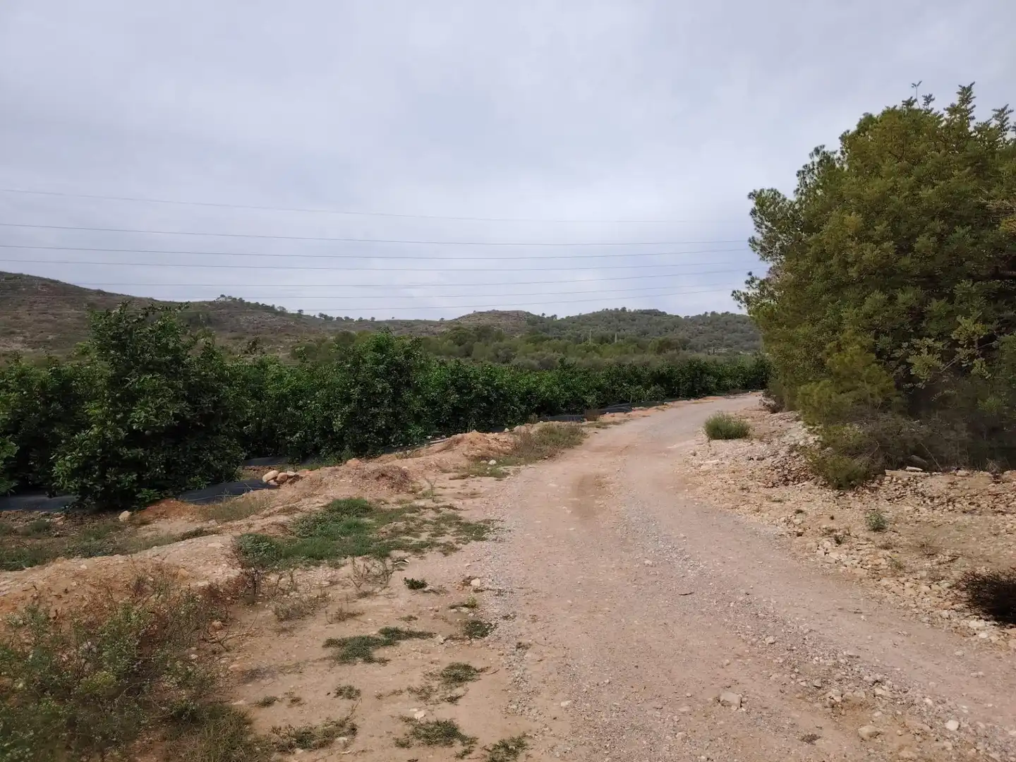 Terreny rústic en venda a Santa Bárbara