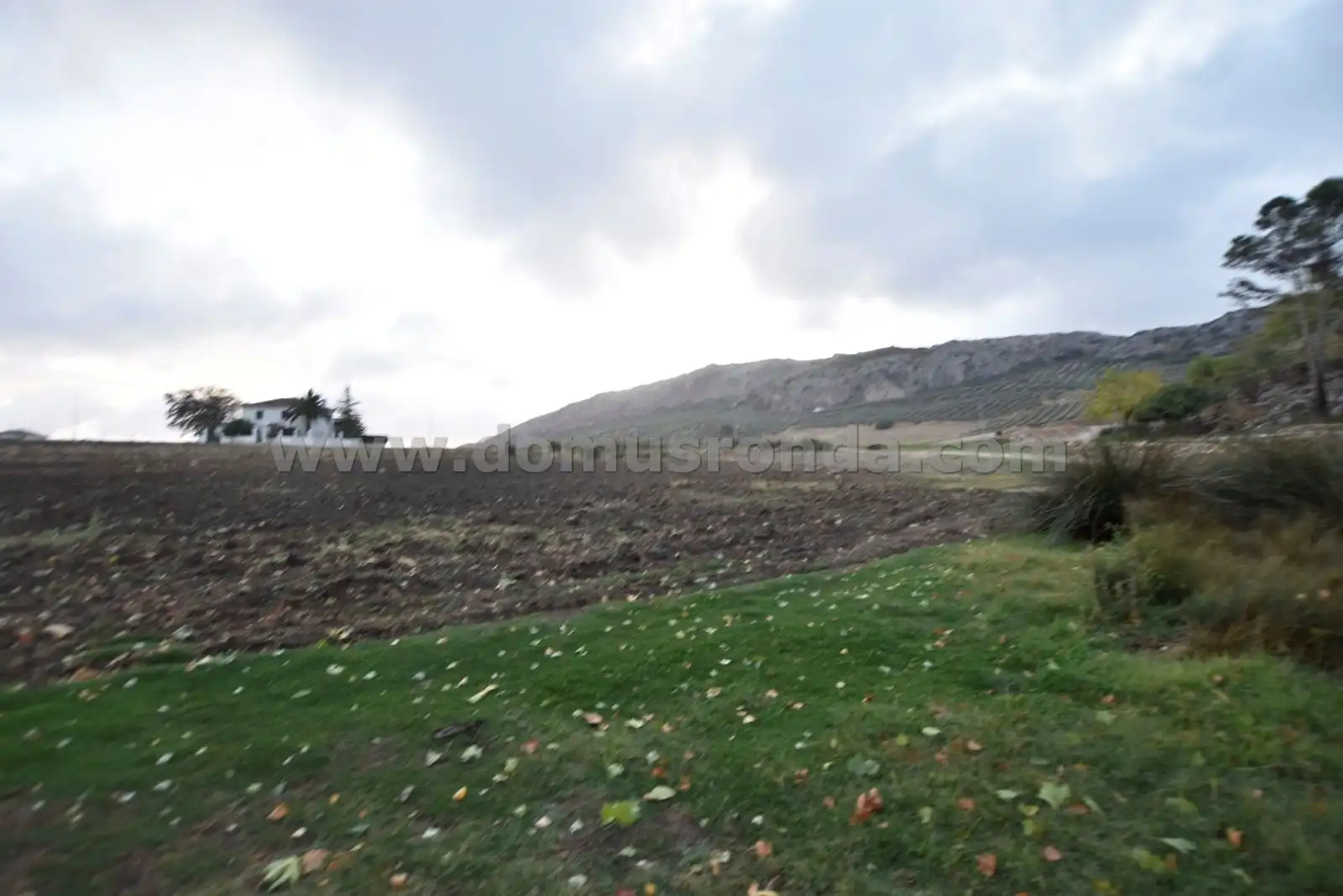 Terreny residencial en venda a NACIMIENTO, imagen 5