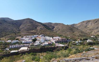 Vista exterior de Casa o xalet en venda en Enix amb Aire condicionat, Calefacció i Terrassa