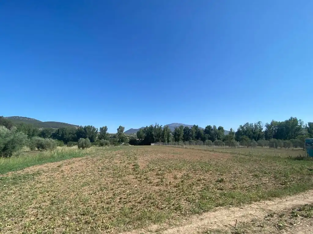 Terreni e lotti in vendita a Alcaudete, imagen 6