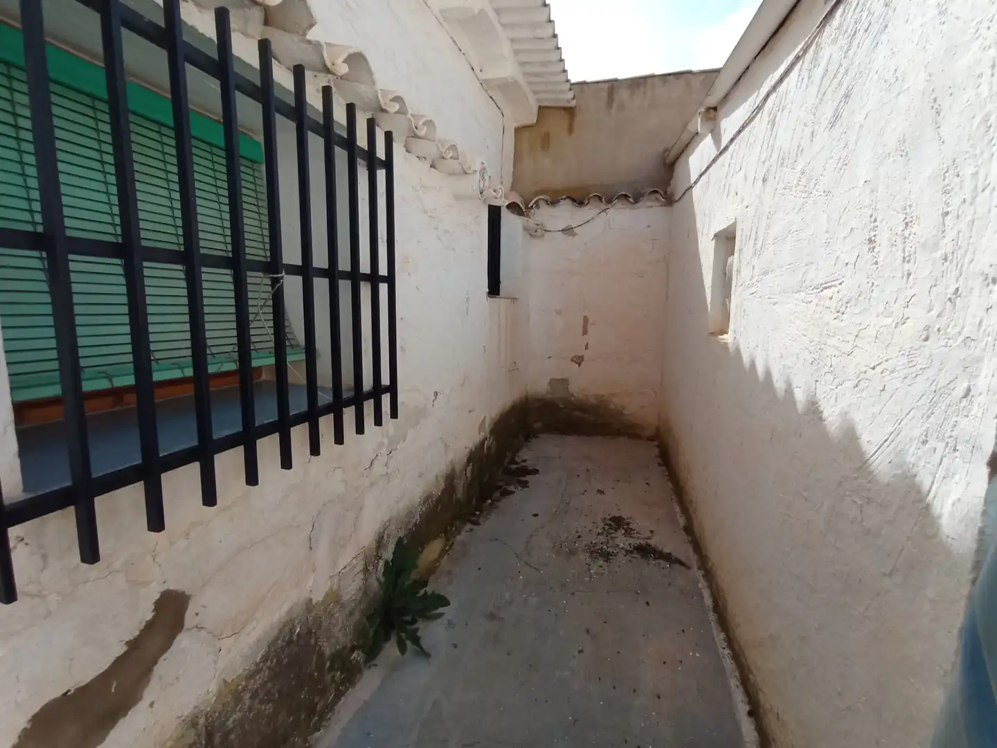 Habitatge amb jardí en venda a Calle Duque de Alba, imagen 5