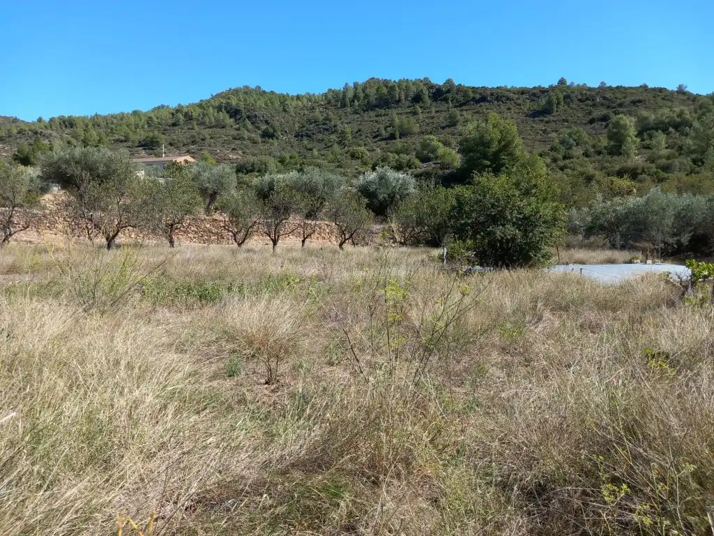 Terreno en venta en Tuéjar