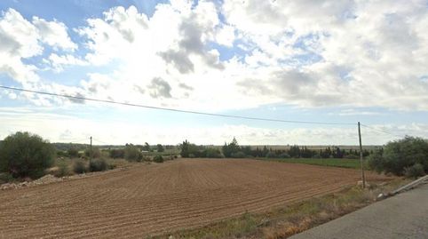 en Amposta, imatge 3