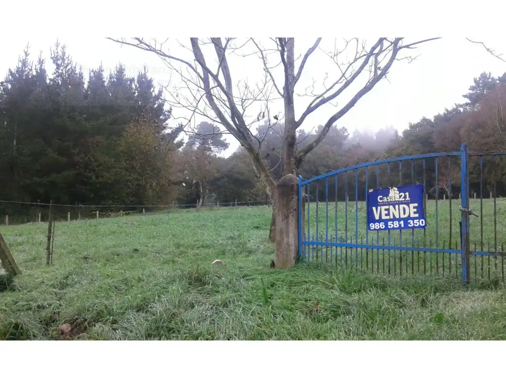 Haus zum Verkauf in PO-6502, imagen 3
